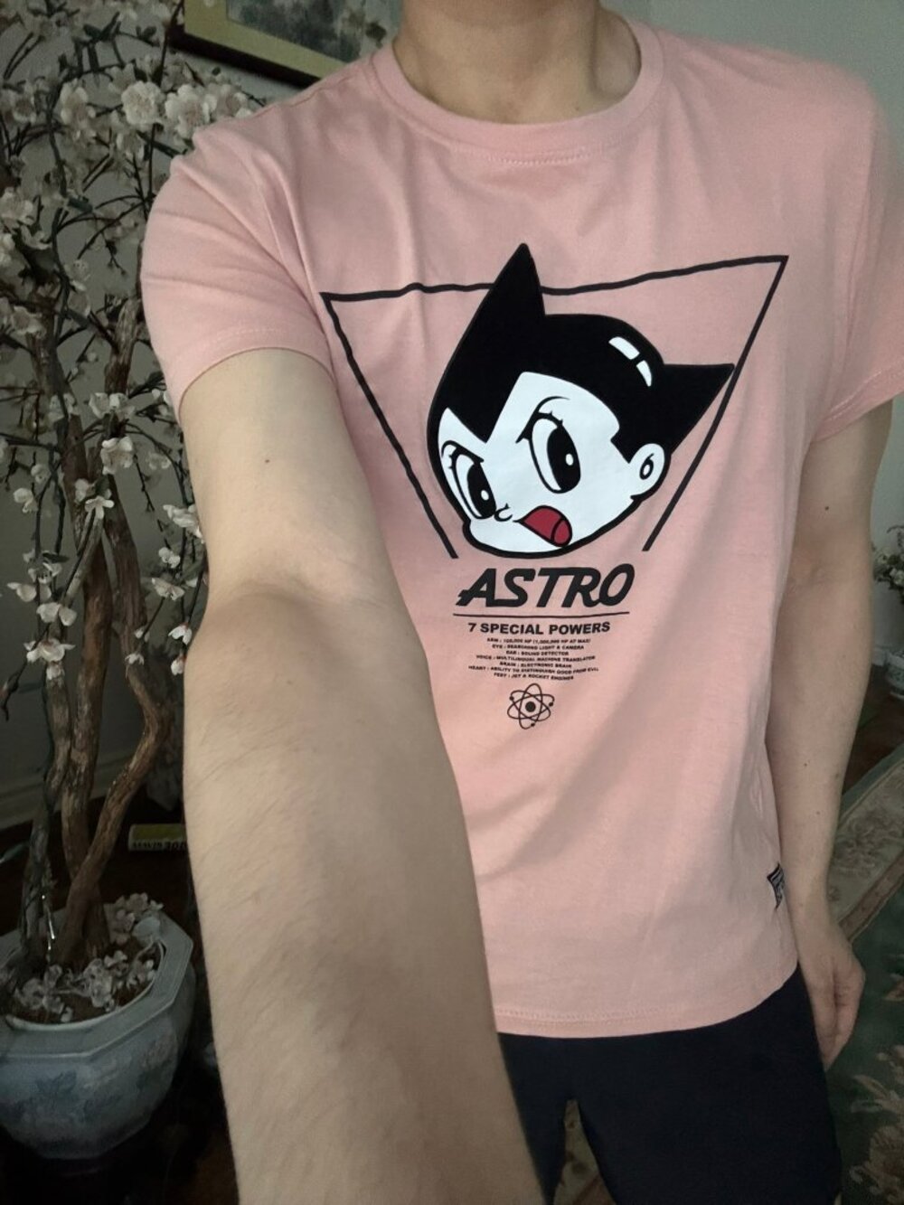 Southpole x Astro Boy Official Limited Graphic T-Shirt Sakura Pink S Rare